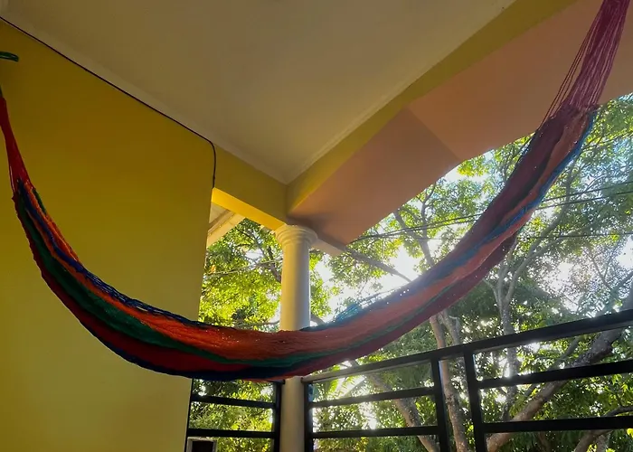 Mangohosting Hotel Comayagua