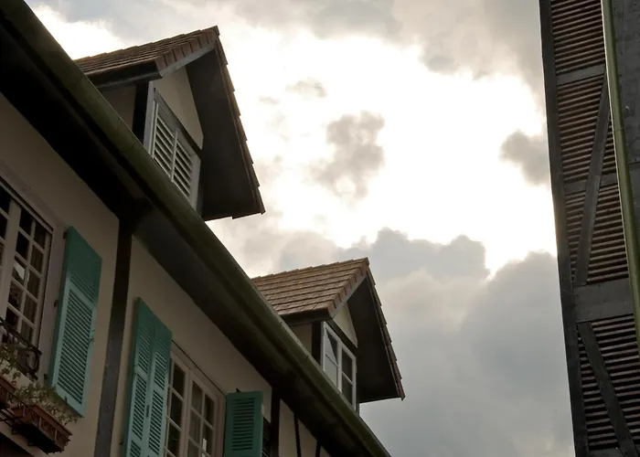 Colmar Tropicale Hotel Bukit Tinggi