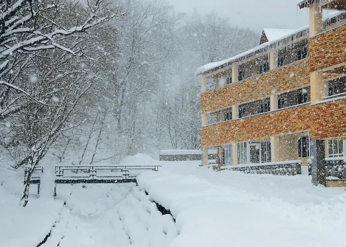 Tsaghkahovit Hotel Tsaghkadzor