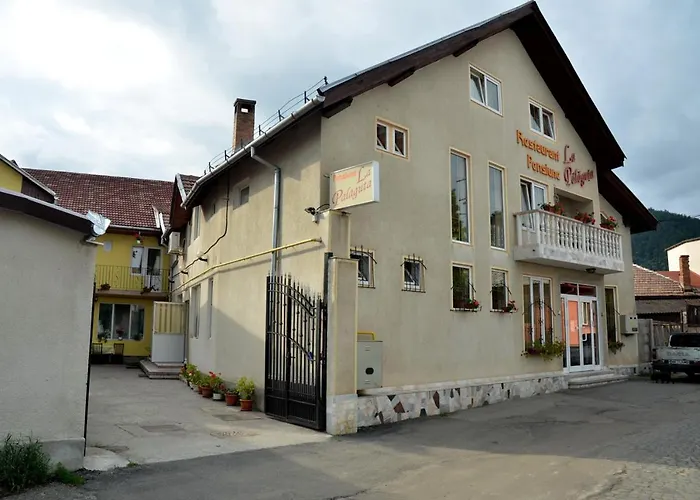 Pensiunea La Palaguta Baia Mare