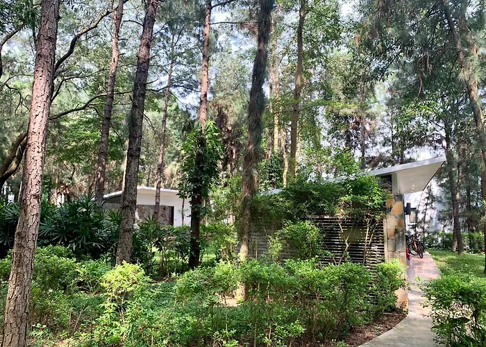 Hilltop Dai Lai H230 Villa Hanoi