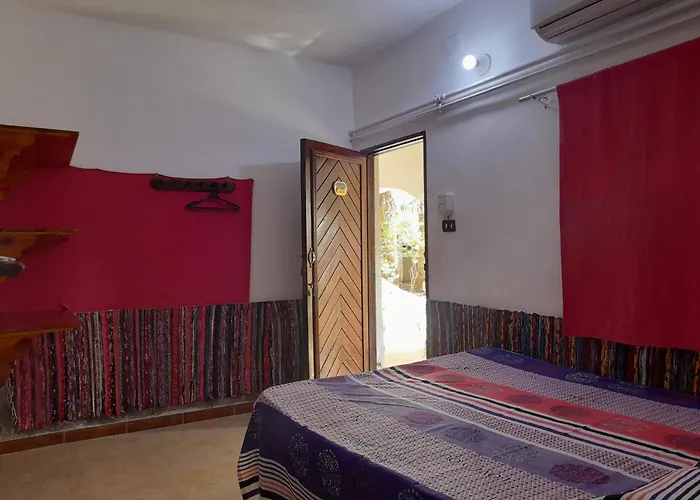 Fighting Kangaroo Camp Dahab