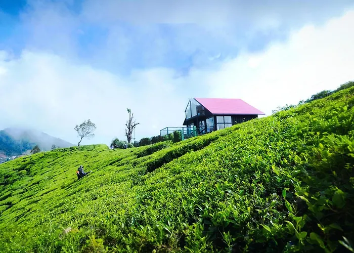 The Blackberry Cottage Nuwara Eliya