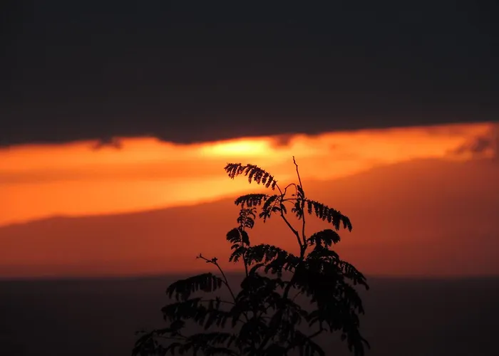 African Sunrise Lodge And Campsite Mto wa Mbu