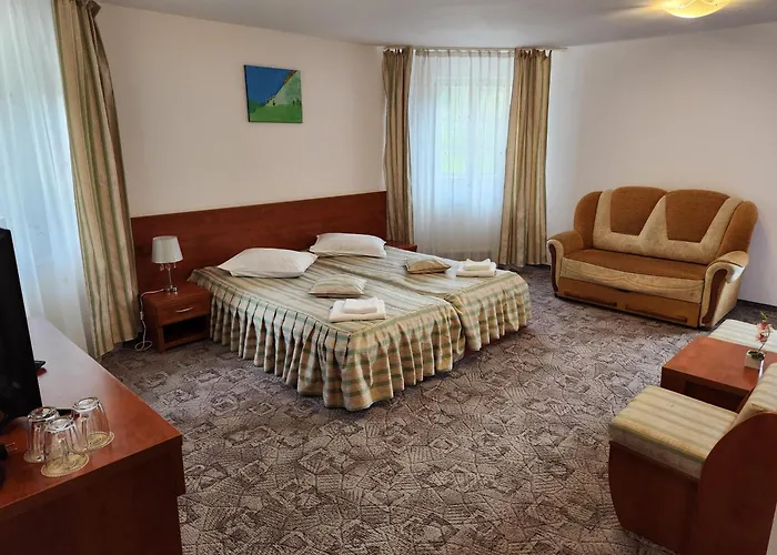 Casa Minerva Hotel Busteni