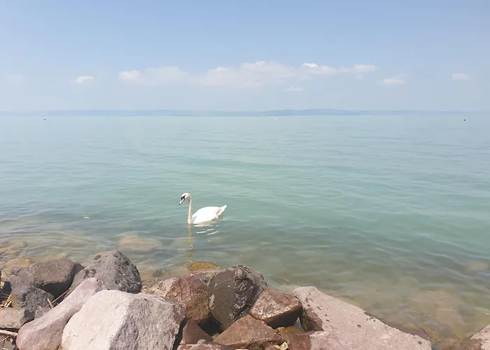 Balaton Lakeside Residence Siofok