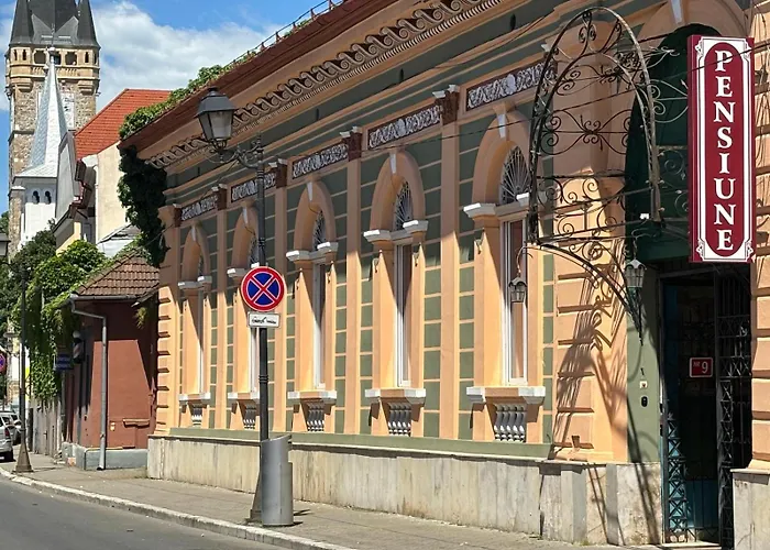 Pensiunea Casa Rusu Baia Mare