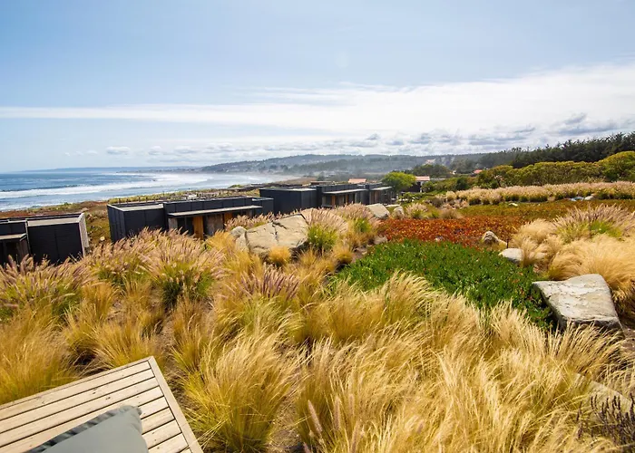 Hotel Alaia Pichilemu