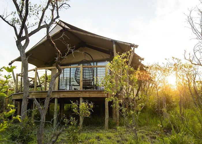 Mdluli Safari Lodge Hazyview