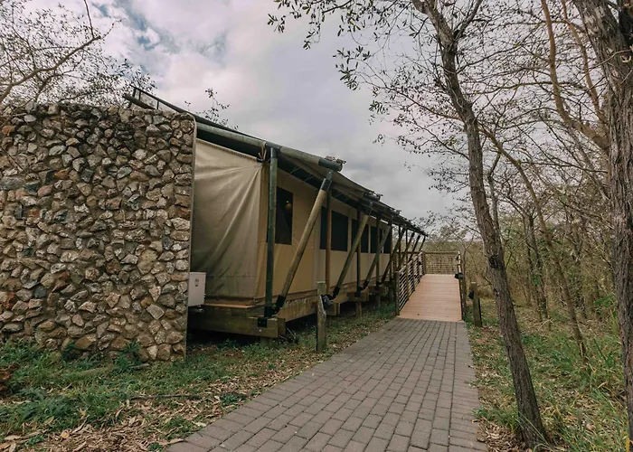 Mdluli Safari Lodge Hazyview