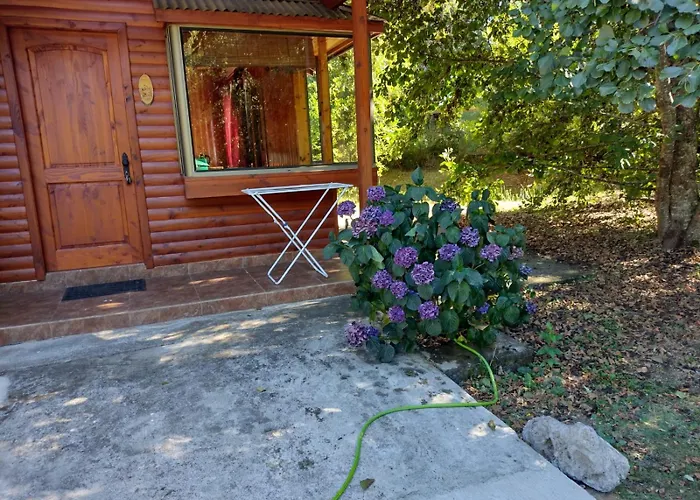 Cabanas Rimari Pucon