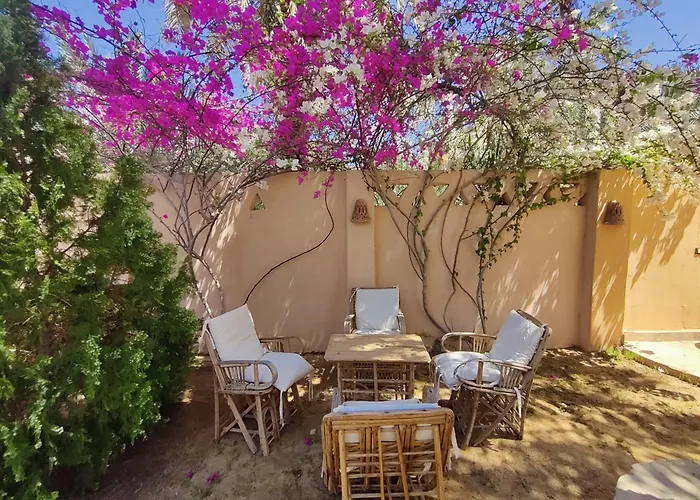 Alexander Lodge Siwa Oasis