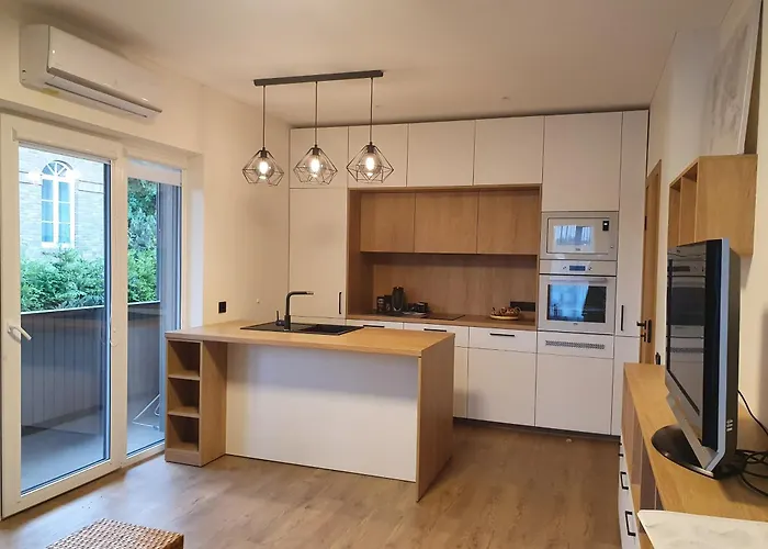 Apartment With Terrace Vilnius