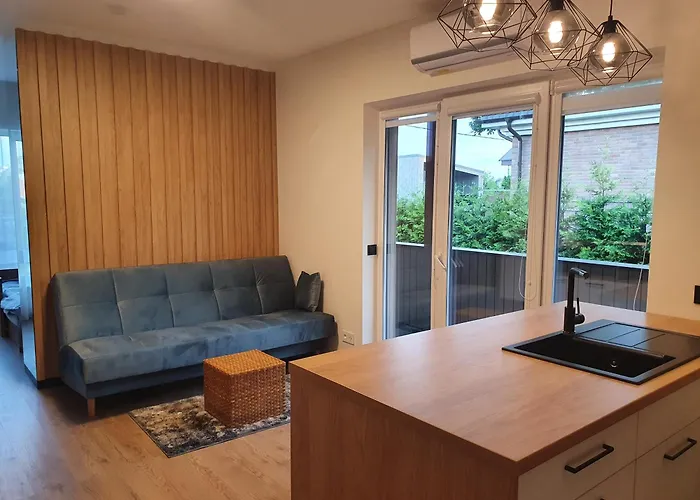 Apartment With Terrace Vilnius