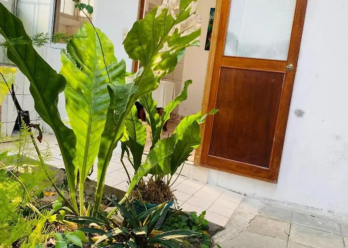 Casa Mima Hotel Flores