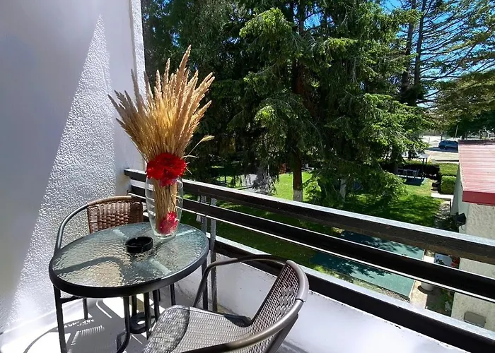 Hotel Rodica Venus