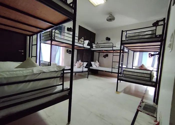 A Sleepy Fox Hostel New Delhi