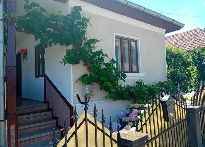 Casa Cristian Hotel Calimanesti
