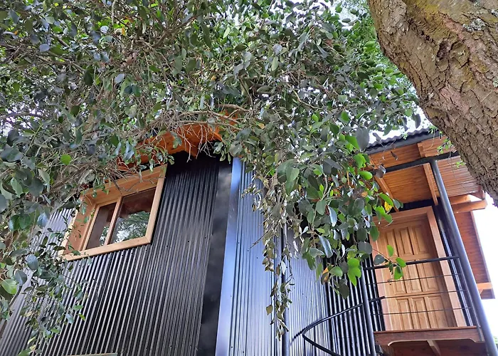 Del Remanso Departamentos Apartment San Carlos de Bariloche