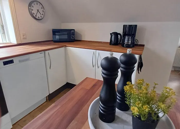 Grand Luxury Apartment In The Center Of Hjoerring Hjorring