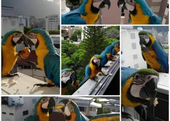 Apartamento Cerca Del Boulevard De Sabana Grande Y Zona Comercial Caracas