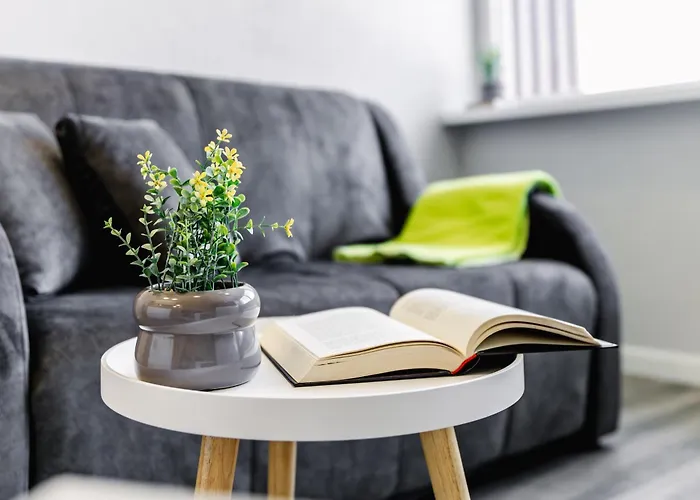 Taikos Studio Apartamentai Klaipeda