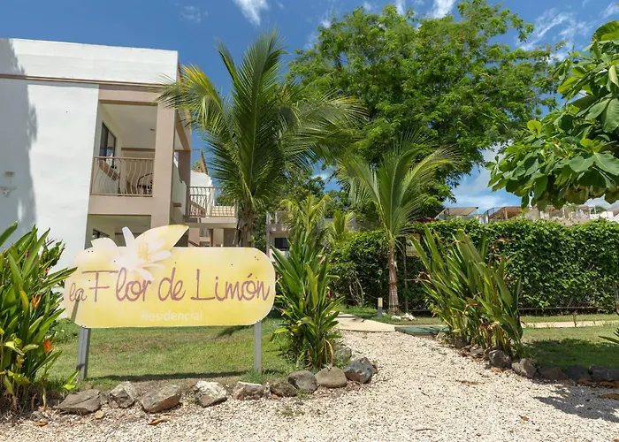 Two Palms Ground Floor Unit Across From Beach Coco