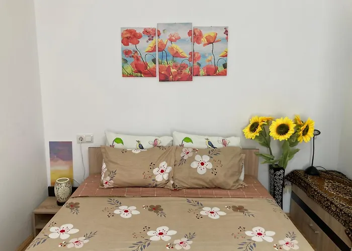 The Charming One Apartment Brasov