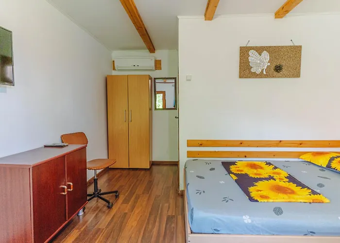 Casa Dexter Hotel Vama Veche