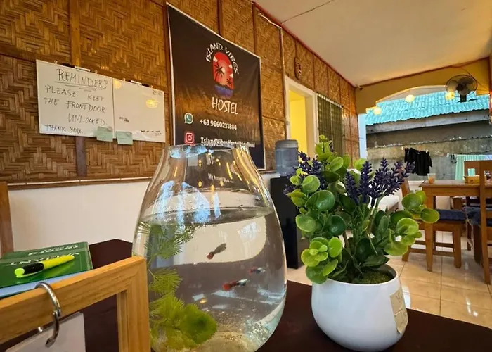 Island Vibes Hostel Moalboal
