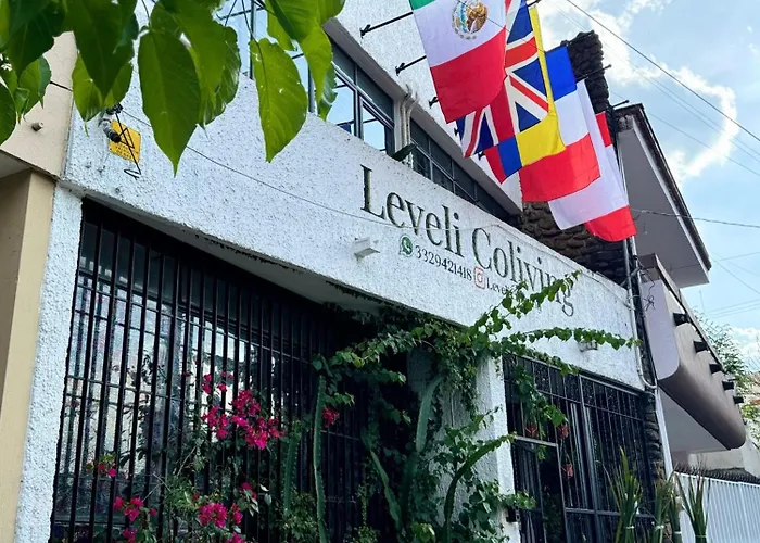 Leveli Coliving Hostel Guadalajara