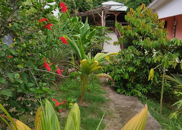 Tikazalou Eco Hostel Deshaies