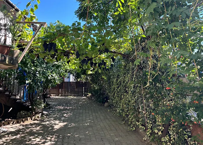 Downtown Guest House Kutaisi