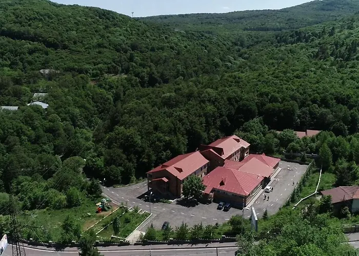 Tsaghkahovit Hotel Tsaghkadzor