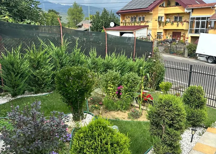 Angela Bed & Breakfast Calimanesti