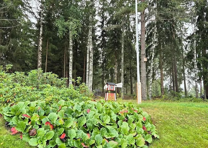House With2 Bedroom, Bath, Sauna, And Big Yard Hyvinkaa