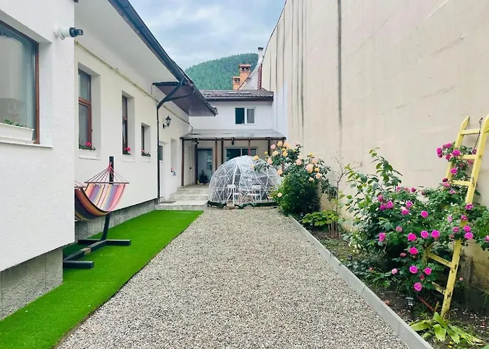 Schei Brasov-Скей Брашов Apartment