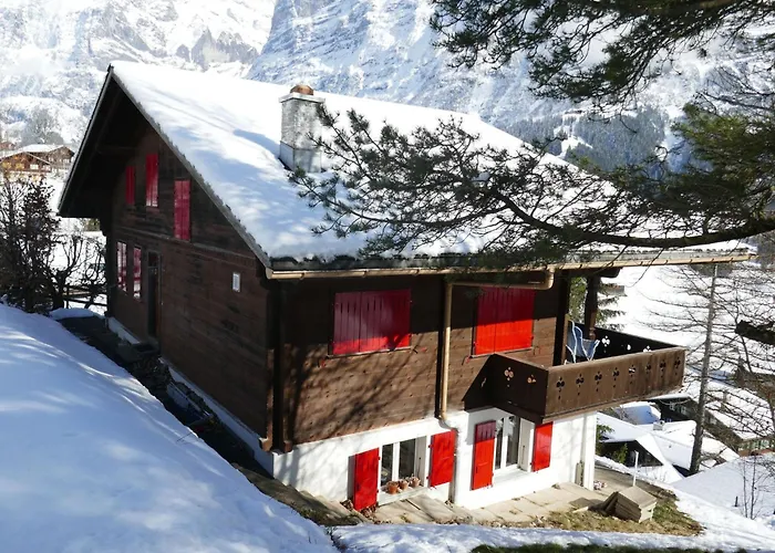 Apartment Chalet Colette - 2 By Interhome Grindelwald
