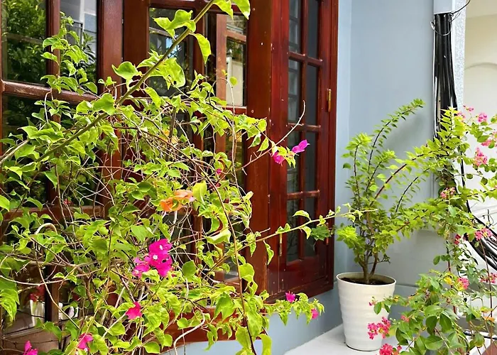Lu Homestay - A Lush And Peaceful Private Room In Danang