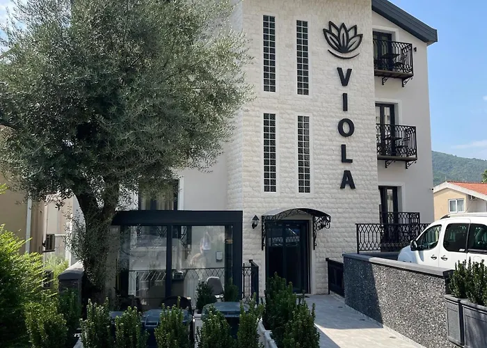 Viola Hotel Budva