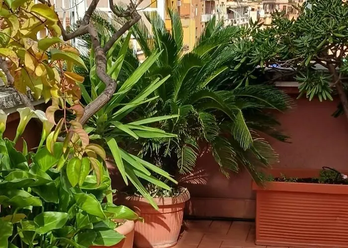 Attico Pavia Vicino Policlinico Apartment Rome