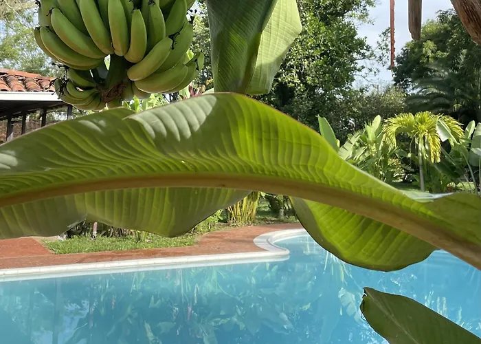 Muchosur Quimbaya Hotel