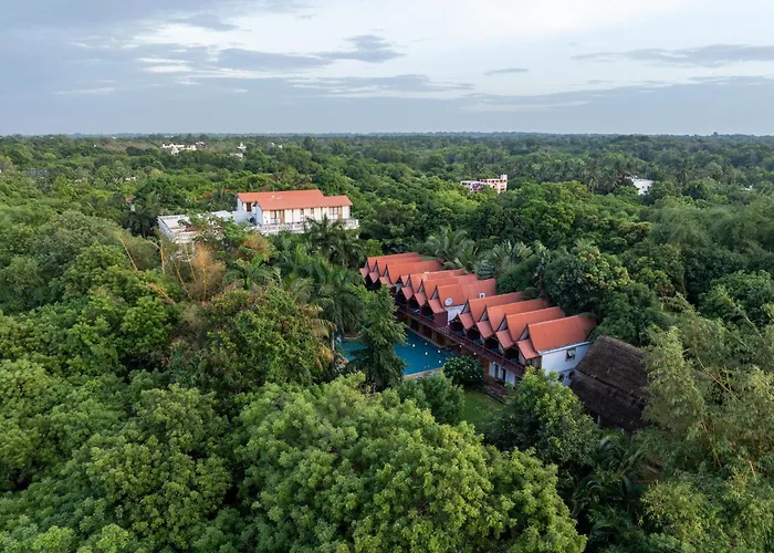 Mango Hill Auroville Pondicherry
