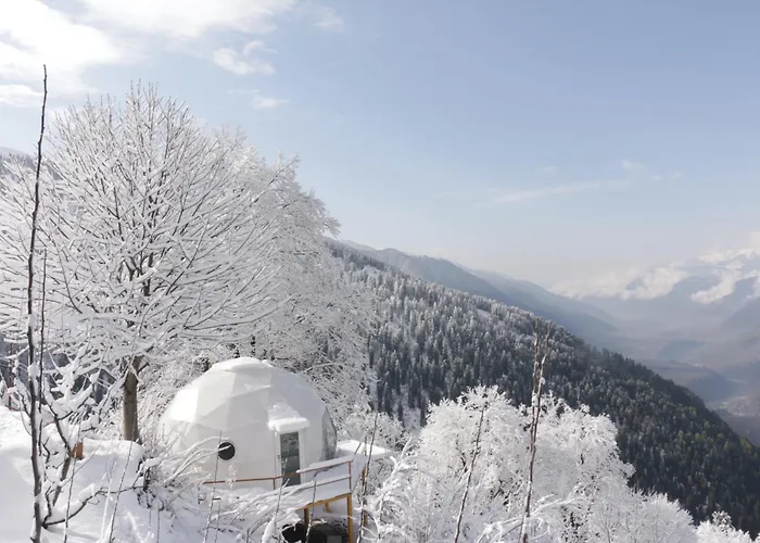 Glampeco Manali Hotel