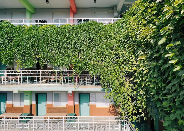 The Cloudland International Youth Hostel, Close To The City Center,10 Min Walks To The Subway, Close To The Night Market, Old Street, Green Lake, English-Speaking Service, Free Activity Convenient Payment And Visa Cards Are Accepted Kunming