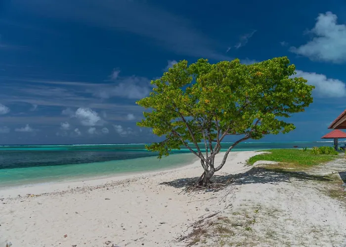 Chao Guest House Maafushi