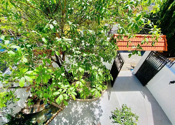 Biet Thu Nghi Duong Anna - Trung Tam Bai Sau Vung Tau Villa