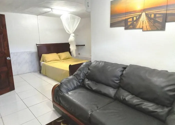 Ladville Apt 1 Kingstown