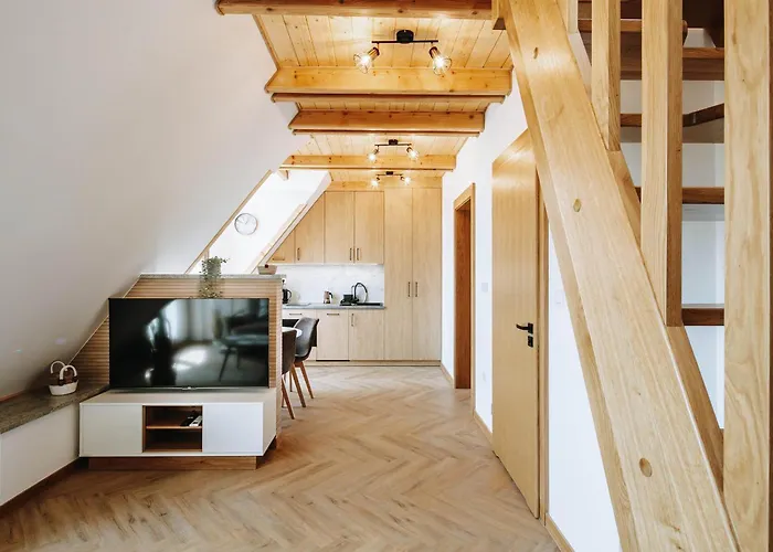 Apartament Z Widokiem Spa Zakopane