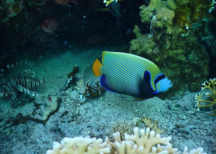 Swisstouch Oriental Resort Coraya Bay